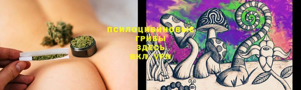 бошки Белоозёрский