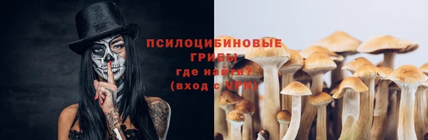 марихуана Беломорск