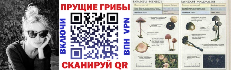 Псилоцибиновые грибы мухоморы hydra зеркало Тетюши